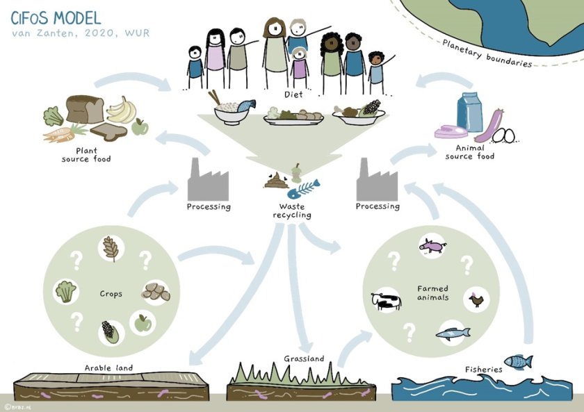 Circular Food System model, Hannah van Zanten Circular Food System model, Hannah van Zanten
