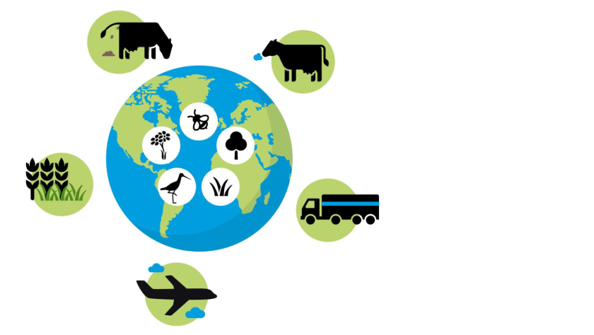 The Circular Food System model shows what a healthy diet could look like that places the least possible burden on the earth, partly by minimizing land use and emissions of greenhouse gases and environmental pollutants. The Circular Food System model shows what a healthy diet could look like that places the least possible burden on the earth, partly by minimizing land use and emissions of greenhouse gases and environmental pollutants.