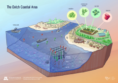 The Dutch Coastal Area - Food Vision 2050
