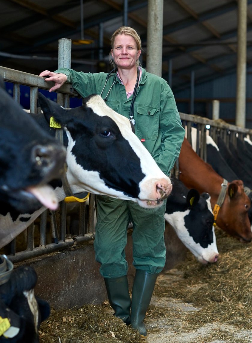 Ingrid van Dixhoorn standing between cows Ingrid van Dixhoorn standing between cows