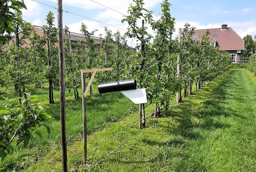 Foto val: Deze experimentele val is ontwikkeld door onderzoekers in Nieuw-Zeeland. Ze bestaat uit een grote koker die meedraait met de wind en is uitgerust met een fuik en een lokstof speciaal voor de bruingemarmerde schildwants. Foto val: Deze experimentele val is ontwikkeld door onderzoekers in Nieuw-Zeeland. Ze bestaat uit een grote koker die meedraait met de wind en is uitgerust met een fuik en een lokstof speciaal voor de bruingemarmerde schildwants.