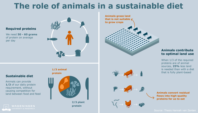 Infographic role of animals in a sustainable diet_UK.png Infographic role of animals in a sustainable diet_UK.png