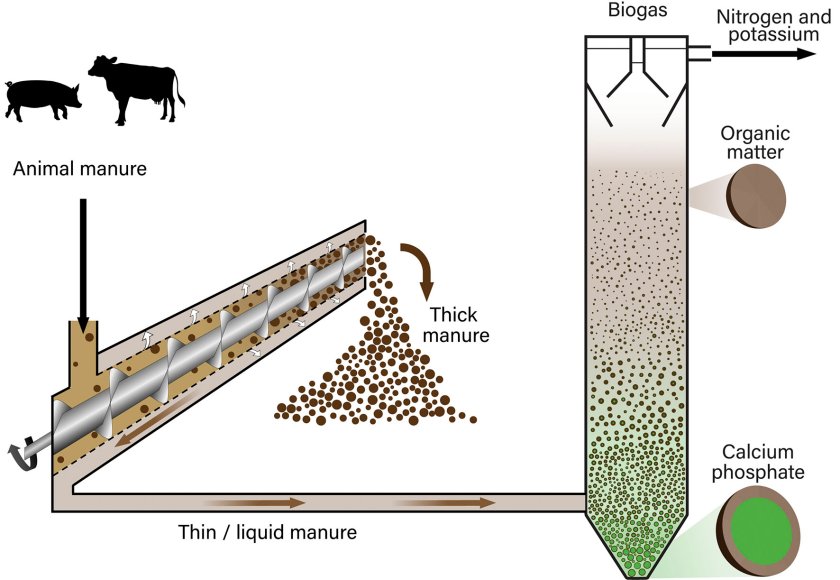 Fig. 1. Animal manure is separated into a thin and thick fraction in a screw press.