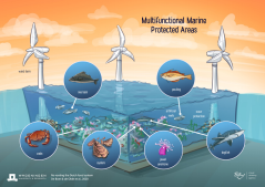 Multifunctional Marine Protected Areas - Food Vision 2050