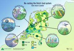 Re-rooting the Dutch food system | A journey through six unique regions in the Netherlands   