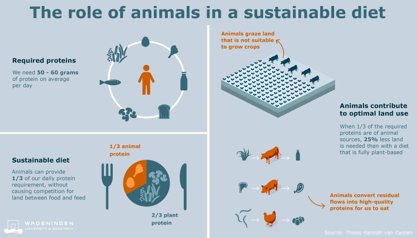 Click on the infographic to read the article 'Defining a land boundary for sustainable livestock consumption'