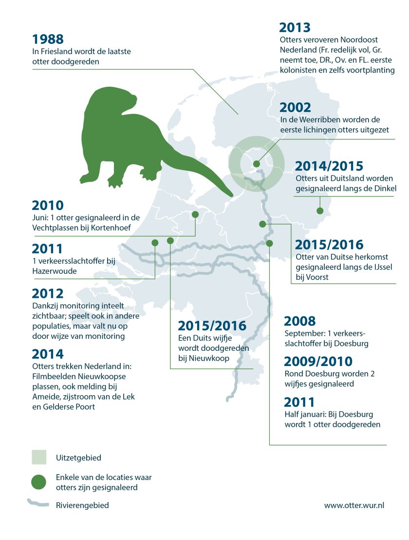 otters_update-01-01.jpg otters_update-01-01.jpg